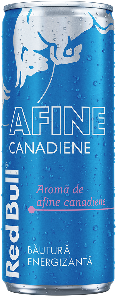 A chilled can of Red Bull Sea Blue Edition