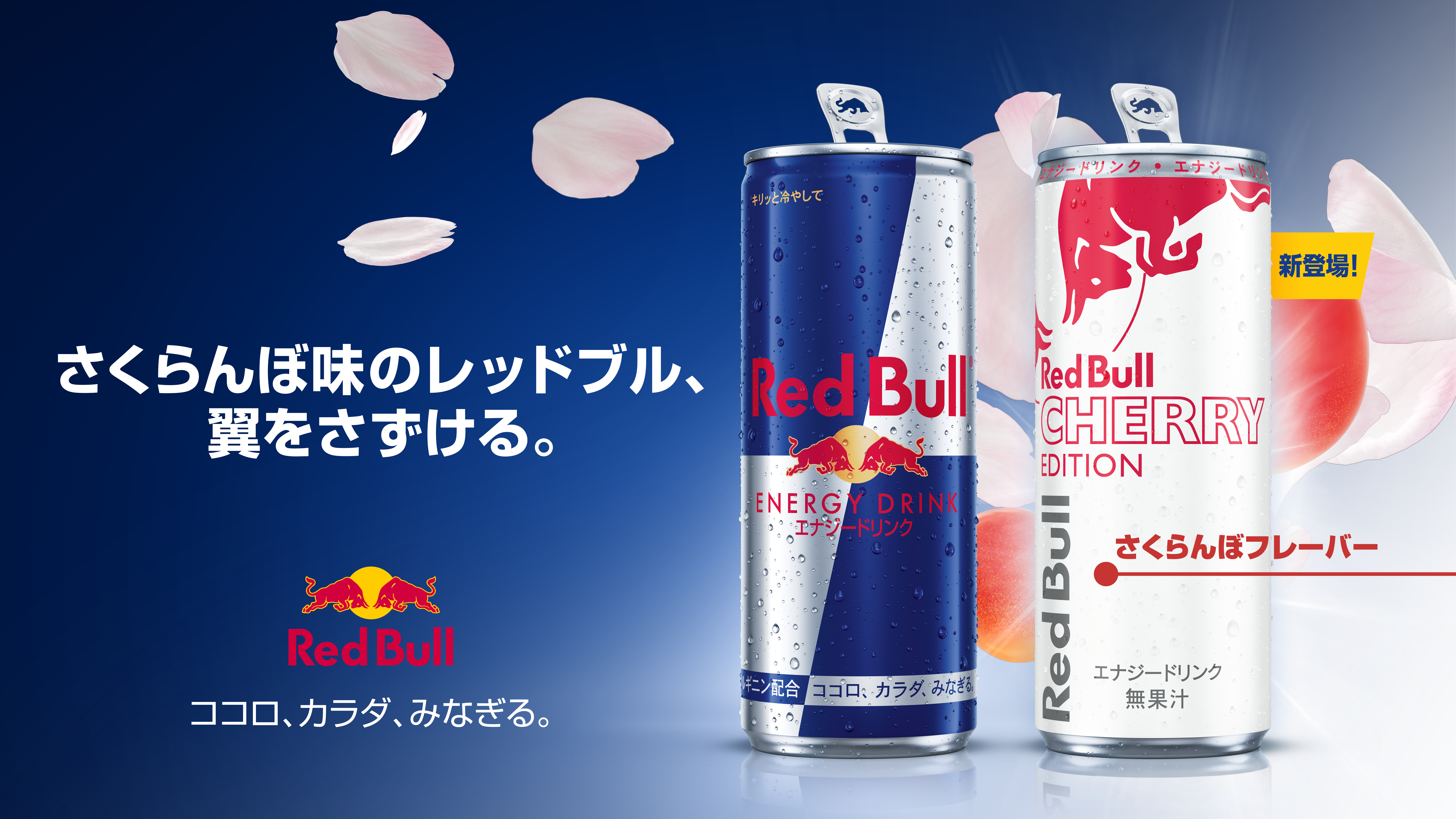 レッドブル チェリーエディション 原材料