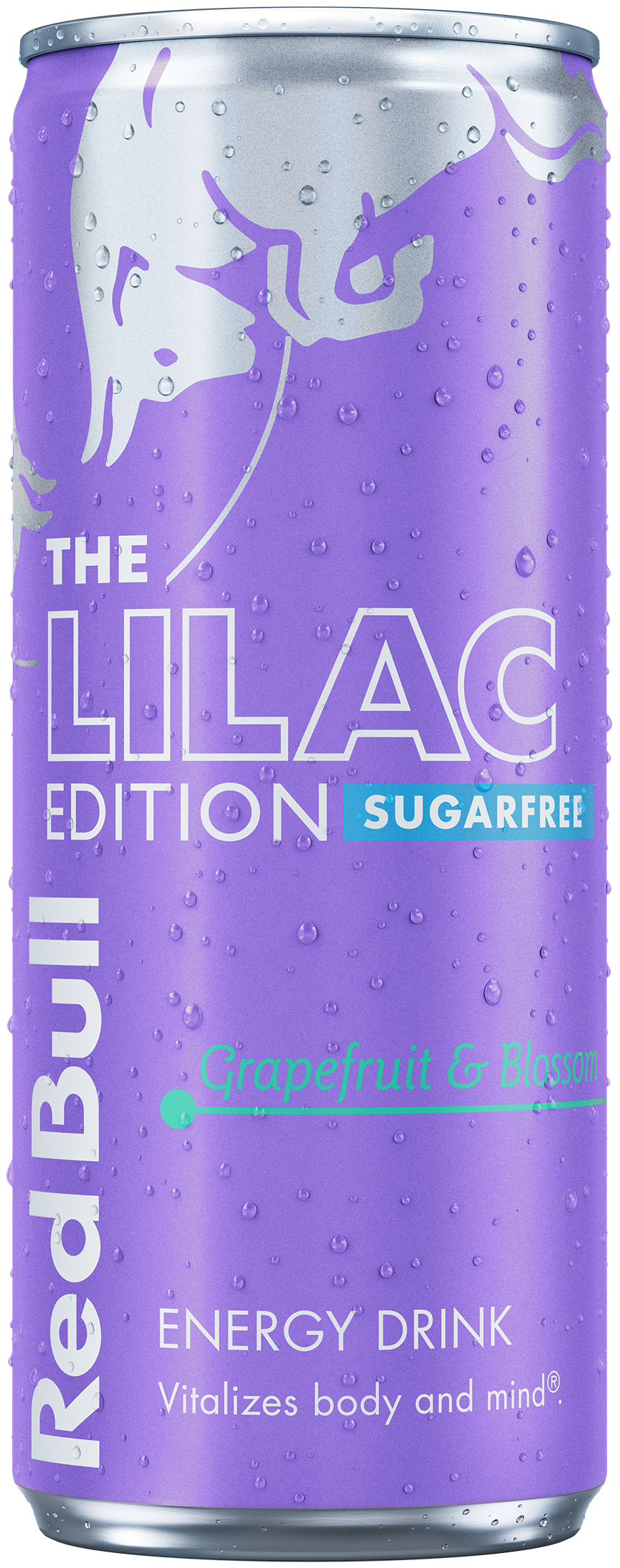 Red Bull Lilac Edition Sugarfree